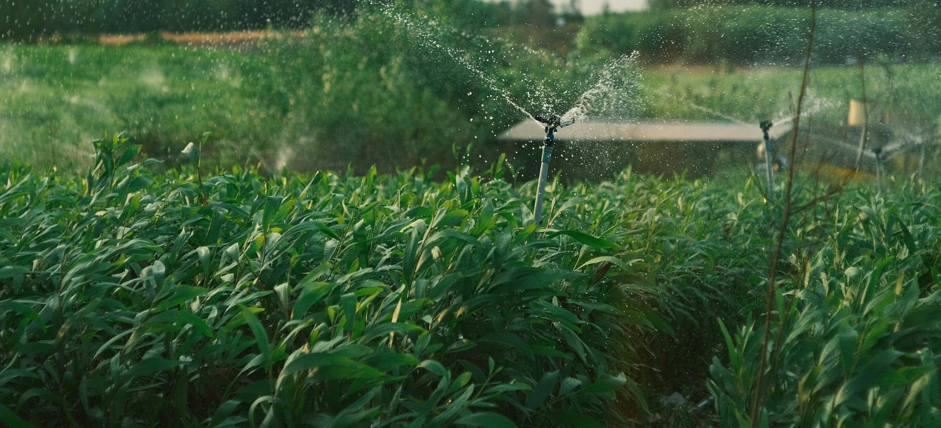 Smart-Irrigation-Banner-1920